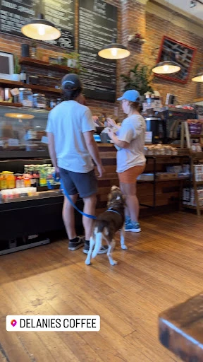 Delanie's Coffee SouthSide photo 6
